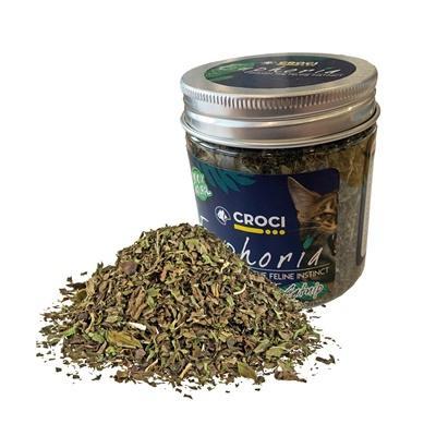 CROCI EUPHORIA CATNIP POT CROCI EUPHORIA CATNIP POT