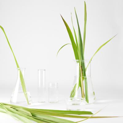 Garnier Skinactive Face Detox Reinigingsgel Verfrissende Citroengras - Normaal tot gemengde huid - 150 ml Garnier Skinactive Face Detox Reinigingsgel Verfrissende Citroengras - Normaal tot gemengde huid - 150 ml