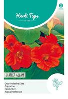 Zaden Tropaeolum Oost-Indische Kers Scarlet Gleam Rood Hortitops - Hortitops - thumbnail