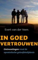 In goed vertrouwen (Paperback) - thumbnail