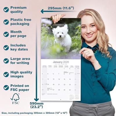 Maltese Calendar 2026 Square Dog Breed Wall Calendar - 16 Month
