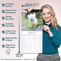 Maltese Calendar 2026 Square Dog Breed Wall Calendar - 16 Month - thumbnail