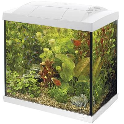 Superfish Start 30 tropical kit wit