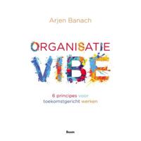 Organisatievibe - Arjen Banach - Paperback (9789024428106) - thumbnail
