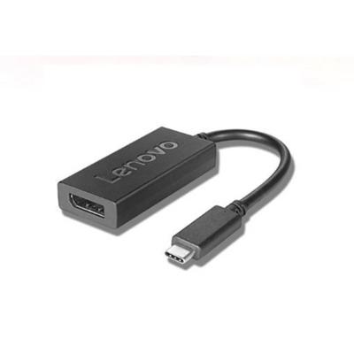 Adapter USB C naar DisplayPort Lenovo 4X90Q93303