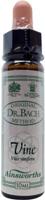 Ainsworths Vine Bach 10 Milliliter - thumbnail