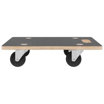 Meubelhondjes 2 st rechthoekig 250 kg 60x40x11,5 cm