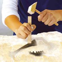 SES explore dino en skelet opgraven 2in1 - triceratops - thumbnail