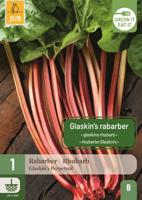 Rabarber glaskins perpetual - thumbnail