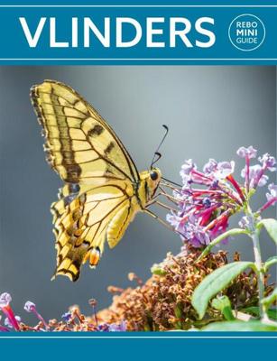 Rebo mini guide - Vlinders (Paperback) Rebo mini guide - Vlinders (Paperback)