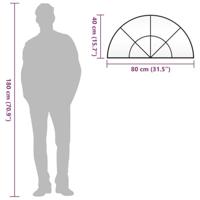 VidaXL Wandspiegel boog 80x40 cm ijzer zwart - thumbnail