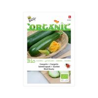 Biologische Courgette Black Beauty - thumbnail