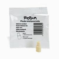 INDISCHE MEELMOT FEROMOON | Plodia interpunctella - thumbnail