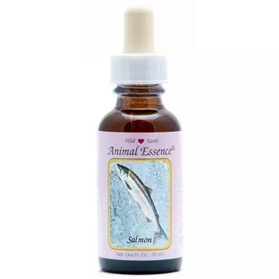 Animal Essences Salmon (zalm) 30 Milliliter