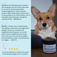 Dogsuppy Heup & Gewrichten Chewies - thumbnail