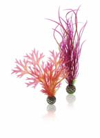 Aquariumtoebehoren plantenset medium rood & roze biOrb - Biorb - thumbnail