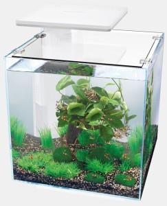 Aquarium Qubiq 30 pro wit Superfish - Superfish