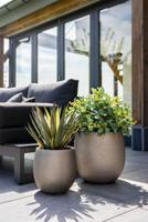 Grigio Metallic Balloon M 42x42 Champagne - thumbnail