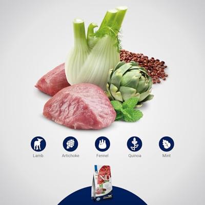 N&D QUINOA CAT DIGESTION, LAMB & FENNEL ADULT 1,5 KG