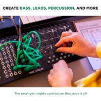 Moog Mavis - thumbnail
