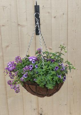 Hanging basket zomerbloeiers paars/blauw h25 cm Warentuin Natuurlijk - Warentuin natuurlijk