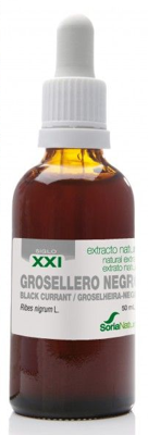 Soria Natural Ribes Nigrum XXI Extract Soria Natural Ribes Nigrum XXI Extract