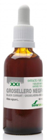 Soria Natural Ribes Nigrum XXI Extract - thumbnail