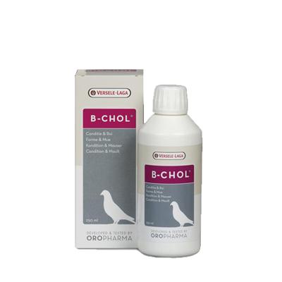 Biochol Sol 500ml