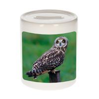 Foto velduil spaarpot 9 cm - Cadeau uilen liefhebber - Spaarpotten - thumbnail