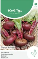 Zaden Bieten Egyptische Platronde Hortitops - Hortitops - thumbnail