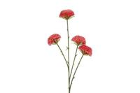 Decostar zijdebloem Chrysanthemum 67 cm roze - thumbnail