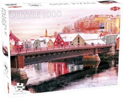 Tactic puzzel - nidelva in trondheim - 1000 stukjes