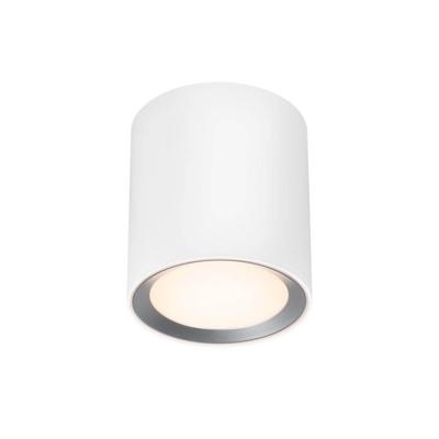 Nordlux Landon Long LED-plafondlamp voor badkamer LED LED 6.5 W Warmwit tot neutraalwit Wit Nordlux Landon Long LED-plafondlamp voor badkamer LED LED 6.5 W Warmwit tot neutraalwit Wit
