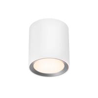 Nordlux Landon Long LED-plafondlamp voor badkamer LED LED 6.5 W Warmwit tot neutraalwit Wit - thumbnail