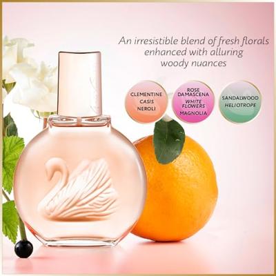 Vanderbilt Vanderbilt Women Miss Eau de Toilette - 100 ml Vanderbilt Vanderbilt Women Miss Eau de Toilette - 100 ml