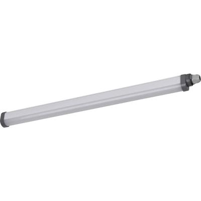 LEDVANCE Damp proof Essential Extrusion LED-lamp voor vochtige ruimte LED 18 W Koudwit Wit, Grijs