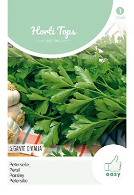 Peterselie Gigante d Italia - Hortitops