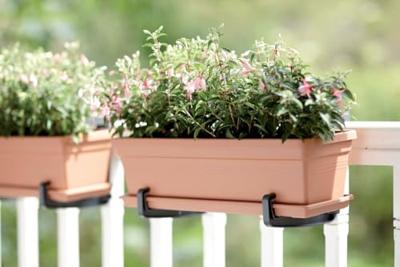 Elho green basics balkonbak schotel 40 cm terra - thumbnail