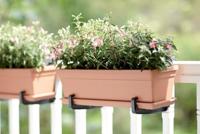 Elho green basics balkonbak 80 cm mild terra - thumbnail