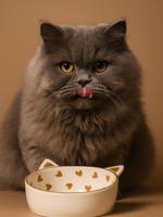 Set van 2 keramische kattenbakken FAMILY wit, bedrukt - thumbnail