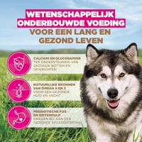 EUKANUBA Grain Free Adult Large Ocean Fish - droog hondenvoer - 12kg - thumbnail