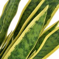 VidaXL Kunst sanseveria plant met pot 65 cm groen - thumbnail