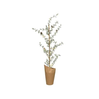 Mini boom prelit h75 cm25l groen/wit Everlands - Everlands
