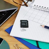 SanDisk High Endurance Monitoring miniSDXC-kaart 256 GB Class 10, UHS-I, UHS-Class 3, v30 Video Speed Class Incl. SD-adapter - thumbnail