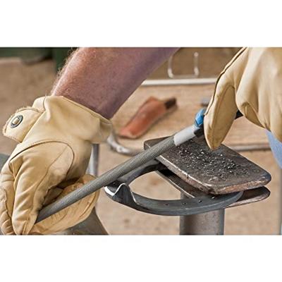 PFERD TOOLS 11105202 Werkplaatsvijl Lengte 200 mm 10 stuk(s)