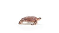 Schleich 14876 Karetschildpad - thumbnail