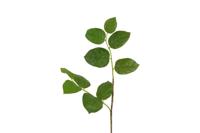 Decostar kunsttak Gaultheria 78 cm groen - thumbnail