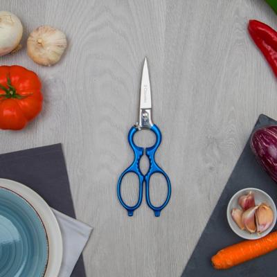 Keukenschaar 3 Claveles 8" Roestvrij staal Blauw Multifunctioneel - thumbnail