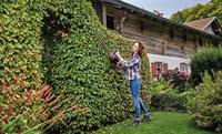 Einhell Power X-Change GE-CH 36/61 Li-Solo Heggenschaar Accu Zonder lader, Zonder accu 18 V Li-ion 670 mm - thumbnail