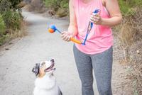 Chuckit fetch & fold mini launcher werpstok - thumbnail